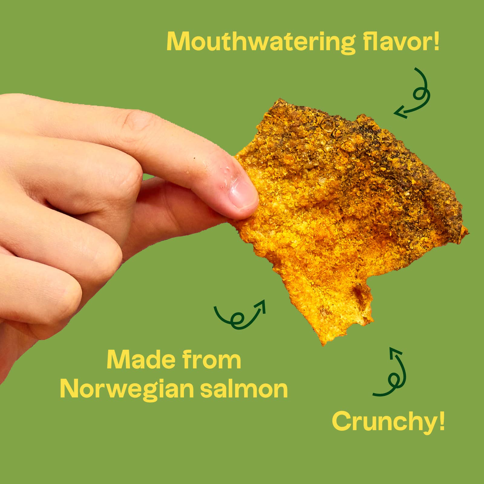 Tochi | Salmon Chips Korean BBQ